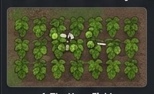 Workflow crop showing the hops field for how to make beer rimworld