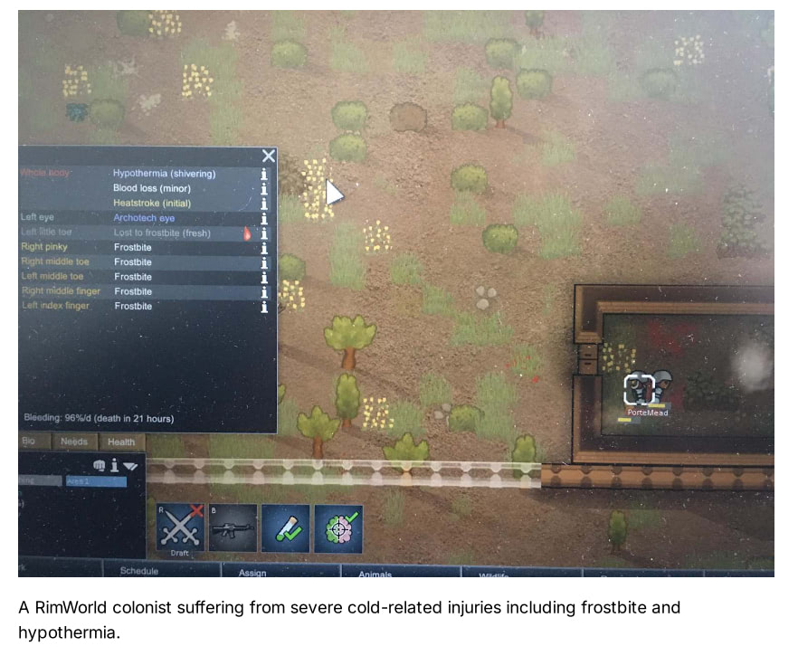 A RimWorld colonist suffering from severe cold-related injuries including frostbite and hypothermia
